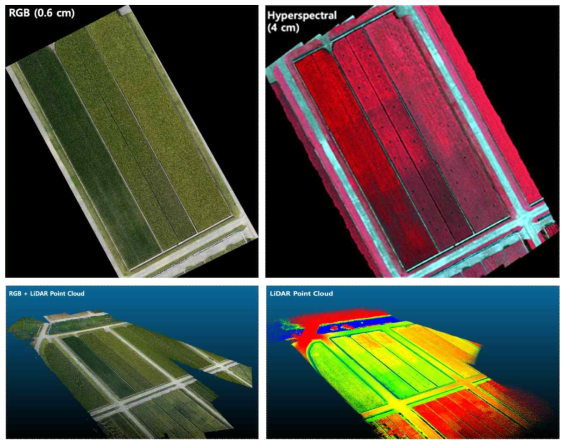 무인기를 통해 동시 획득한 RGB (0.6 cm), 초분광 (4 cm), 라이다 포인트클라우드, RGB-라이다 합성