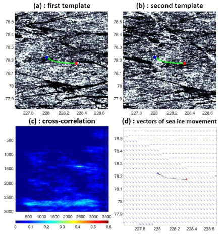 SAR 이미지 쌍을 이용한 MCC 알고리즘에 의한 해빙 드리프트 벡터. (a)와 (b)는 동일한 영역을 갖는 제1 및 제2 SAR 이미지를 이용한 템플릿 쌍, 파란색과 빨간색 원은 각각의 SAR 이미지를 촬영할 때 부표 궤적의 위치. 교차 보정 결과(c)는 영상 쌍에서 계산. MCC(d)의 벡터는 해빙 이동으로 표시
