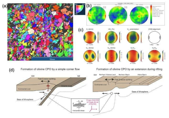 맨틀포획암 분석결과 (a) EBSD 정밀분석 결정방향성 지도: 10 ㎛ step size로 박편 전체를 스캔함, (b) 극점도 다이어그램(pole figure), (c) 지진파 이등방성 계산결과, (d) 맨틀포획암 형성 모델. 지진파 이등방성 계산결과와 맨틀포획암 형성모델은 2022년에 고안되기 전 데이터로 Kim et al. (2021)에서 발췌함