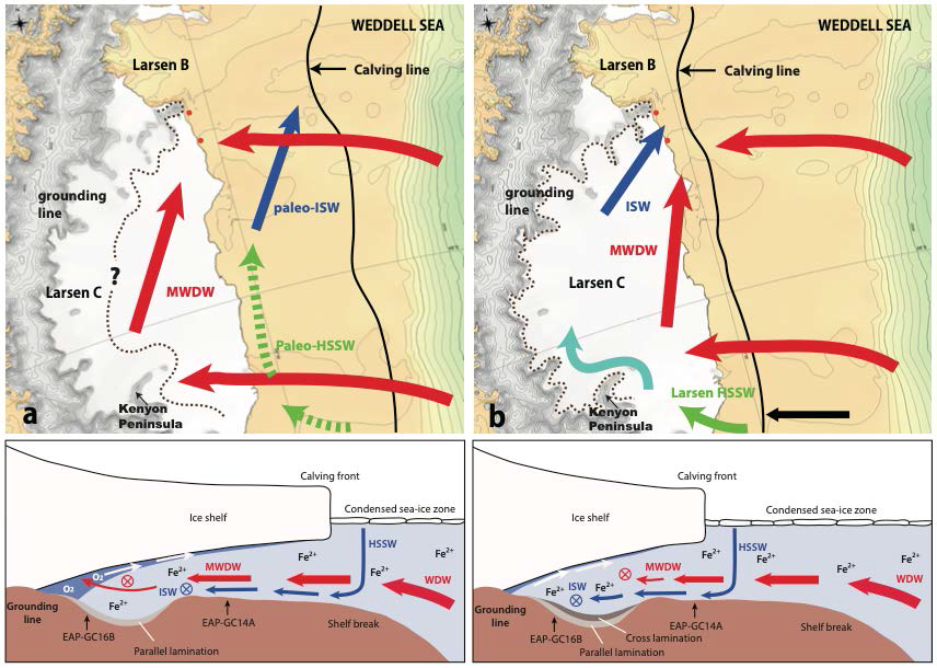 Schematic illustration of the (a) post LGM to (b) modern history of the ice shelf22 in Larsen C Embayment