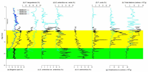 Downcore profiles of (a) biogenic opal concentration, relative abundance of (b) F. kerguelensis, (c) E. antarctica var. antarctica, (d) E. antarctica var. recta, (e) A. actinochilus, and (f) F. curta, (g) Chaetoceros resting spores, and (h) total diatoms of cores GC03-C1 (black), -C2 (cyan), and -C4 (blue). Diatom records for GC03-C1 are from Bak et al. (2010) and for GC03-C2 are from Bak et al. (2014), except for Chaetoceros resting spores in GC03-C2 (this study)