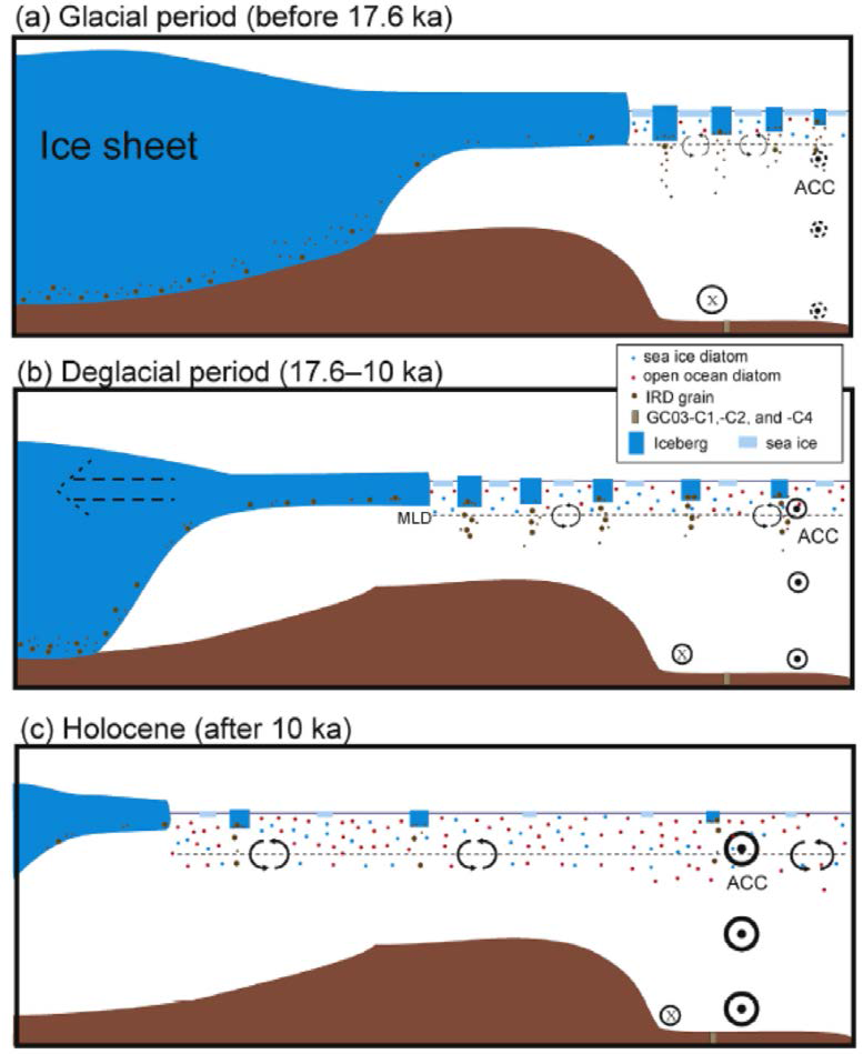 Paleoceanographic models of (a) the glacial period (before 17.6 ka), (b) the ﾠ deglacial period (17.6-10 ka), and (c) the Holocene (after 10 ka) in the Southern Ocean off Elephant Island. MLD is the mixed layer depth