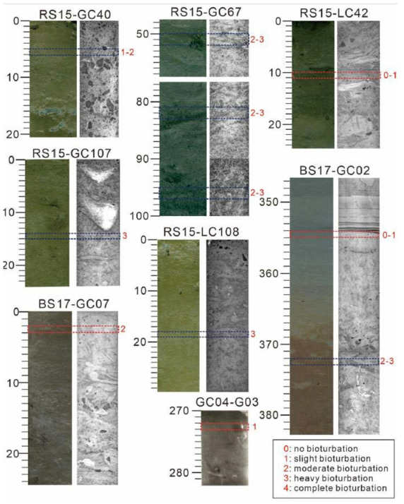 Core image and x-radiographs including AMS 14C dating intervals of all cores. AMS 14C dating intervals are marked by dashed rectangles (blue color for negative AgeAIOM-Δ F values and red color for positive ΔAgeAIOM-F values). Red numbers indicate bioturbation scales modified from Droser and Bottjer (1986) and Savrda et al. (2001)