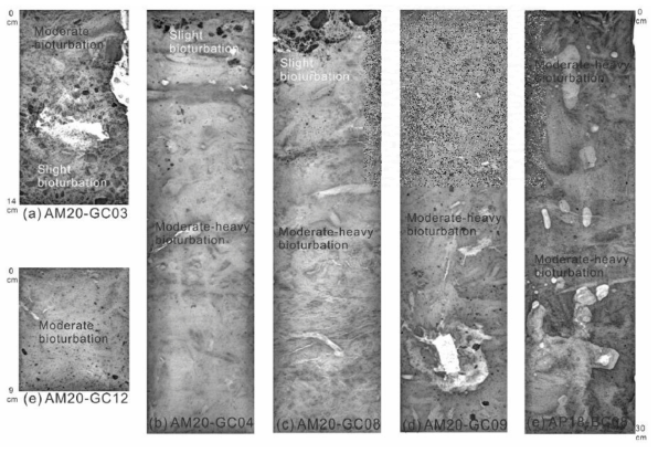 X-radiographs of core top sediments for (a) AMRS20-GC03, (b) AMRS20-GC04, (c) AM20-GC08, (d) AM20-GC09, (e) AM20-GC12, and (f) AP18-BC08. Bioturbation scales are modified from Droser and Bottjer (1986) and Savrda et al. (2001). Coordinates of gravity cores are identical to those of box cores