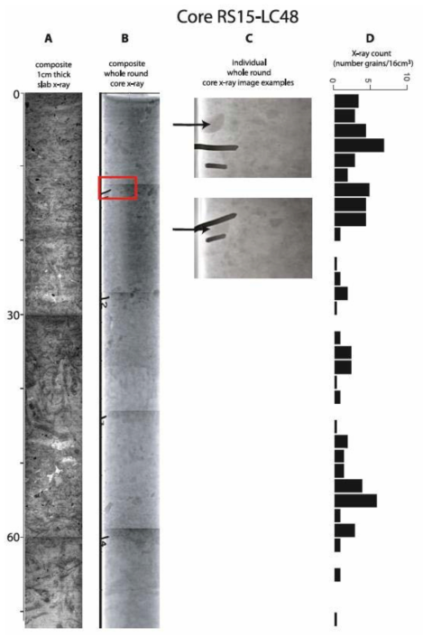 Representative example of X-radiograph images and counting results from RS15-LC48. (a) Composite image of separate 30 cm long x-radiograph of a 1-cm thick slab; (b) Composite Xradiograph from the whole round core. Reference markers (labeled 1-5) were placed every 15 cm on the core liner. These markers remained constant, while the core was moved relative to the x-ray source to obtain each image collected. (c) Zoom of separate images taken from whole round core (red box in b), with black arrows showing distortion of the image and apparent movement of a clast relative to the reference marker. (d) Counts of clasts >2 mm along the a-axis, as measured on the 1-cm x-radiograph 