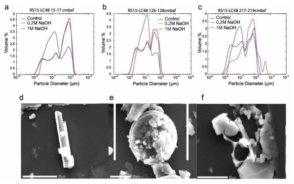 (a)-(c) Grain size frequency curves for three representative samples from core RS15-LC48 that were subsampled three times. Each subsample was treated with 0.2 M NaOH and 1M NaOH solutions, and a control with no NaOH treatment. (d) and (e) SEM images of diatom content in RS15-LC48 after 0.2 M NaOH treatment. (f) SEM images of diatom content in RS15- LC48 after 1M NaOH treatment