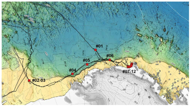 Locations of all core sites. Box cores were taken together with gravity core site. Gravity core was not taken due to the substrate at core site 1 and deep sea camera was attached to the box corer to take images of bottom environment at core site 12