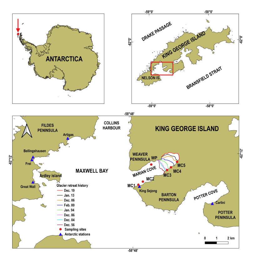 Survey sites located in Maxwell Bay, King George Island, Antarctica