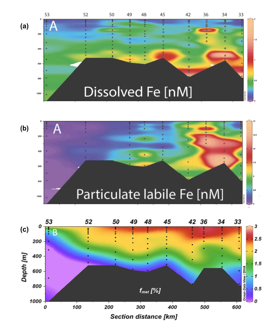 Transect plots of (a) dissolved iron, (b) particulate iron concentrations and (c) meteoric water fraction obtained from oxygen isotopes ratio along the sampled transect in the Amundsen Sea Polynya