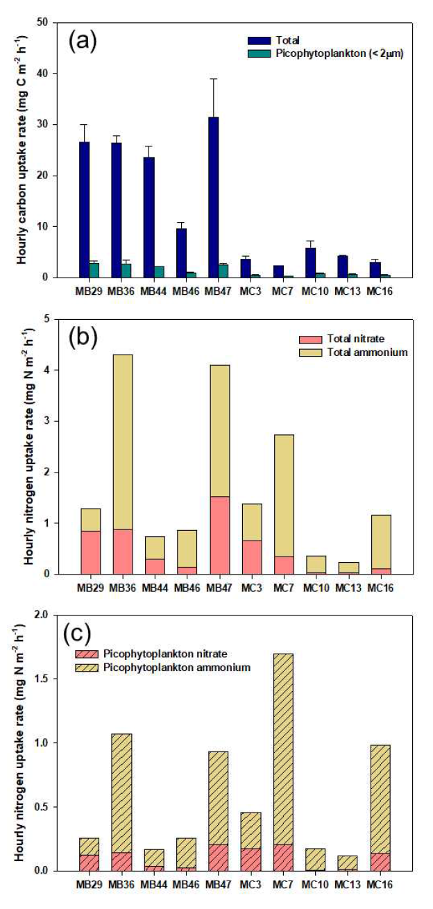 Hourly (a) carbon, (b) nitrogen uptake rates of phytoplankton for total, and (c) picophytoplankton in 2020/2021, integrated from the surface to 1% light depth