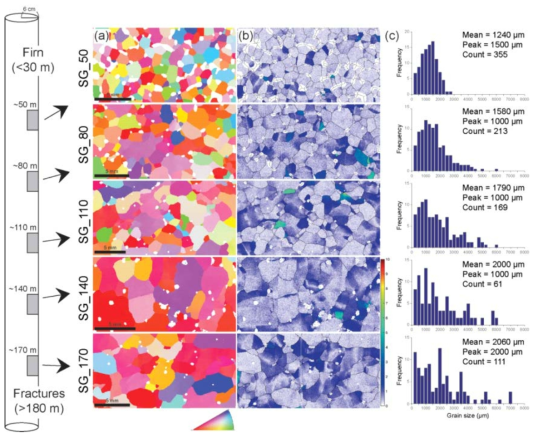 High-quality electron backscatter diffraction (EBSD) data showing (a) orientation (Euler angle), (b) mis2mean maps, and (c) grain sizes of the analyzed samples from the Styx Glacier. The locations of samples in the drilled core are shown to the left of (a). White areas in (a) and (b) present the existence of air bubbles. Color indices for (a) and (b) are located in the lower right of each. The maps in (b) show grain boundaries (>10°) as black lines. The MATLAB toolbox MTEX is employed for all figures