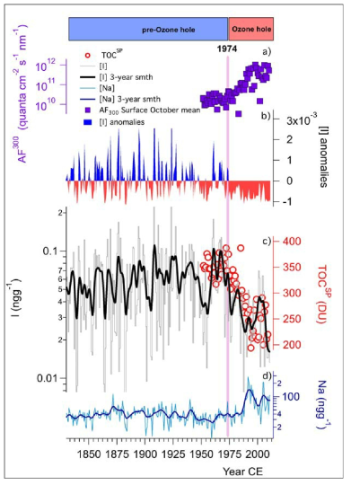 Changing actinic fluxes and iodine concentrations at Dome C. Iodine concentration (grey line – raw data; bold black line 10 year smoothing) and [I] anomalies, express as ngg-1 (blue, positive, and red, negative solid lines with respect to the mean iodine concentration for the period 1833 - 2011) have been compared with the Springtime mean total ozone column (red dots – TOCSP in Dobson Unit) calculated for the Southern Polar Cap (poleward of 63ºS). The top panel shows the modelled springtime Actinic Flux at 300 nm (purple square - AF300, units in quanta cm−2 s−1 nm−1) at the Antarctic surface within the closest model gridpoint to Dome C