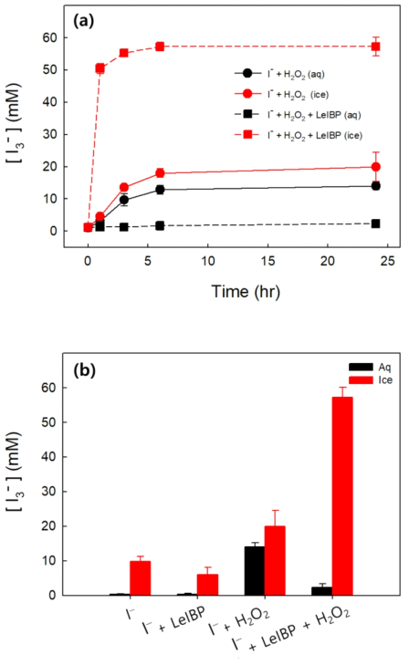 Iodide oxidation with H2O2 in aqueous phase and ice in the presence of LeIBP. (a) Time profile of I3 − production in aqueous phase (at 25 °C) or in ice (at -20 °C). (b) Production of I3 − in aqueous phase or ice after the 24 h reaction. Initial conditions: [I−] = 1 mM, [H2O2] = 0.5 mM, LeIBP = 100 ppm, pH = 4.0