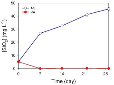 SiO2 concentration analysis of filtrate after a batch experiment with a pH 2 solution