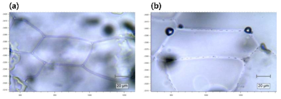 Representative optical images of (a) pH 3 solution and (b) the mixture of pH 3 solution and granite powder frozen to –20 °C on the linkam stage with –2 °C min-1 of freezing