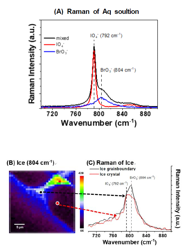 (A) Raman spectra of IO4 - (0.5 M), BrO3 - (1.0 M), and mixed solutions. (B) Mapping of Raman signal at 804 cm-1 and (C) Raman spectra of the frozen solution with IO4- (0.5 M) and BrO3 - (1.0 M) that were obtained from the ice grain boundary (black circle spot in (B)) and ice crystal bulk (red circle spot in (B)). The sample solution was frozen at 253.2 K (-20 °C)