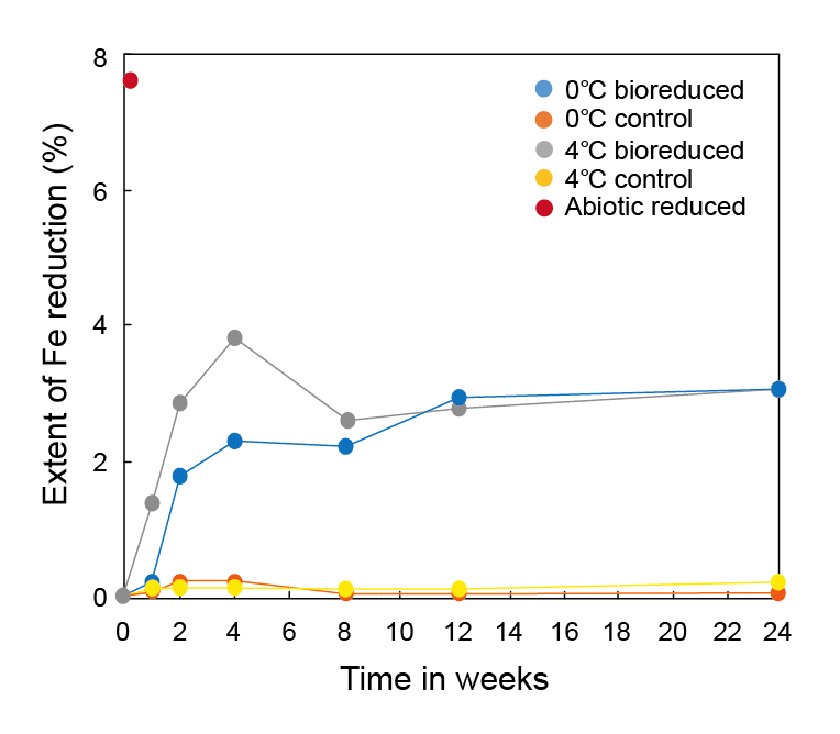 Extent of biotic and abiotic Fe reduction in IMt-1 during batch experiment at various temperatures (0 °C and 4 °C) and incubation times