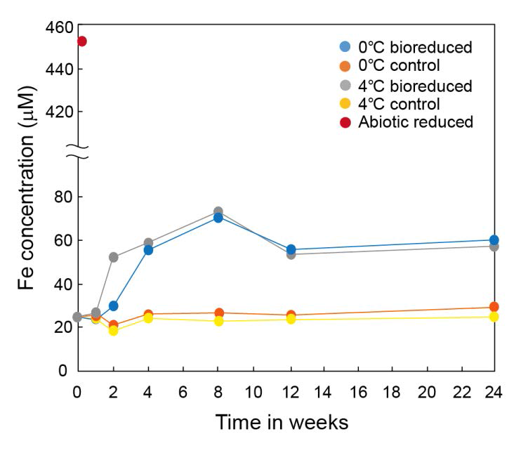 Production of total dissolved Fe from IMt-1 during batch experiment at various temperatures (0 °C and 4 °C) and incubation times