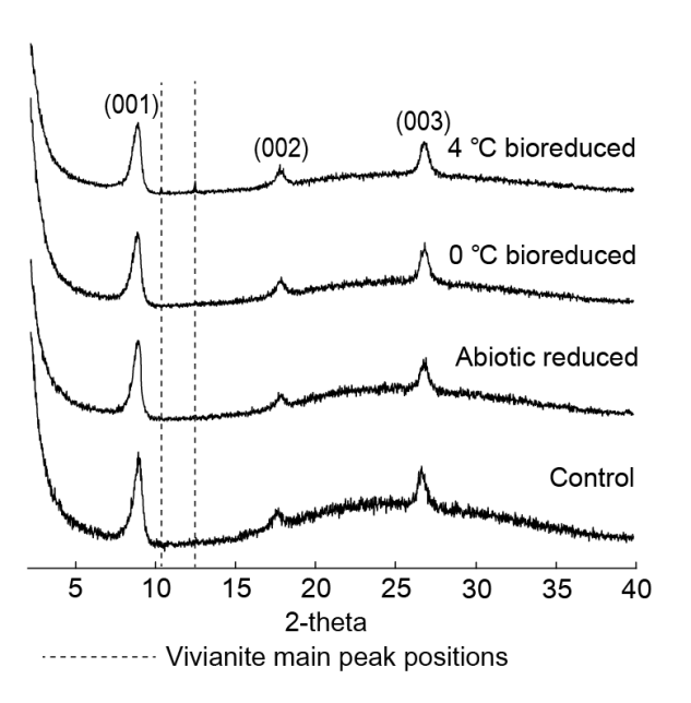 XRD profiles for illite and vivianite main peaks for bioreduced, abiotic reduced, and control samples after 24 weeks