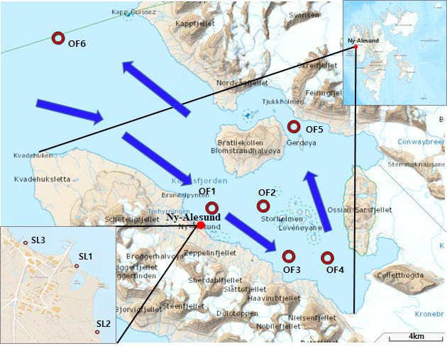 Sampling sites around Ny-Ålesund. SL1-3 indicate the shoreline sampling points whereas OF1-6 indicate offshore sampling points. The blue arrows describe the seawater current direction in the Kongfjorden