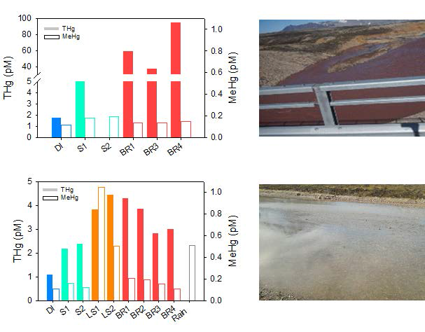 THg and MeHg concentrations in external sources of Kongsfjorden with pictures of the representative sampling sites in the Bayelva River: (a) 2016 and (b) 2017 samples. DI, S, LS, and BR indicate drift ice, stream, Lake Solvatnet, and Bayelva River, respectively