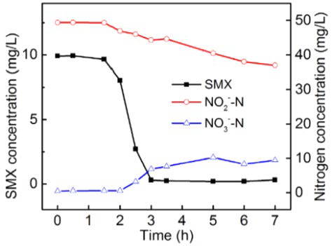-20 ℃, pH 7.5에서 시간에 따른 설파메톡사졸(SMX), 아질산염(NO2 -), 질산염(NO3 -) 의 농도 변화. (Sun et al. 2017)