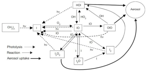 극지방 대기에서 나타나는 활성 요오드와 산화종의 화학적 반응 경로(O’Dowd et al. 2002)