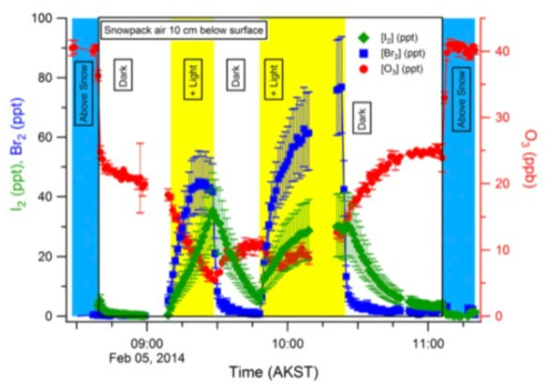 북극 지표의 눈 위 10 cm 대기에서 나타나는 할로겐 분자의 시간에 따른 농도
