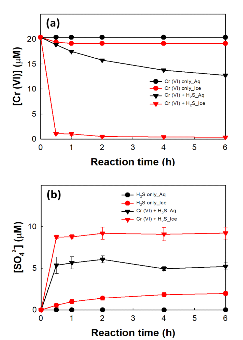 Time profile of (a) Cr (VI) concentration and (b) the production of SO4 2- with/without Cr (VI)in water and ice. Experimental conditions were as follows: [Cr (VI)]i = 20 μM, [H2S]i = 30 μM, pHi 4.0, and freezing temperature = -20 °C