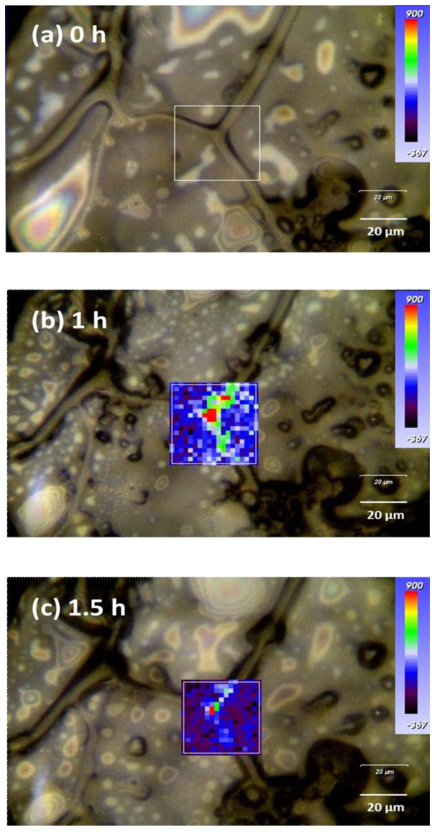 Optical images of Cr (VI) distribution in the ice grain boundary regions after (a) 0h, (b) 1 h and (c) 1.5 h, respectively. Experimental conditions were as follows: [Cr (VI)]i = 1 mM, [H2S]i = 1 mM, pHi 3.0, and freezing temperature = -40 °C