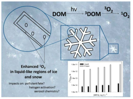 용존 유기물이 포함된 얼음 상에서 나타나는 단일항 산소의 형성 모식도 (Fede et al. 2015)