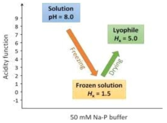 동결 및 동결 건조에 따른 인산염 완충 용액의 산성도 변화 모식도(Vetráková et al. 2017)