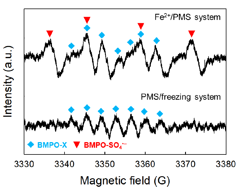 EPR spectra obtained in the Fe2+/PMS system and the PMS/freezing system. Experimental conditions: [PMS] = 100 μM, [FFA] = 20 μM, [Fe2+] = 20 μM for the Fe2+/PMS system, [BMPO] = 1 mM, pH 3.0, reaction time = 0.5 h, and reaction temperatures = 25 °C for the Fe2+/PMS system and −20 °C for the PMS/freezing system