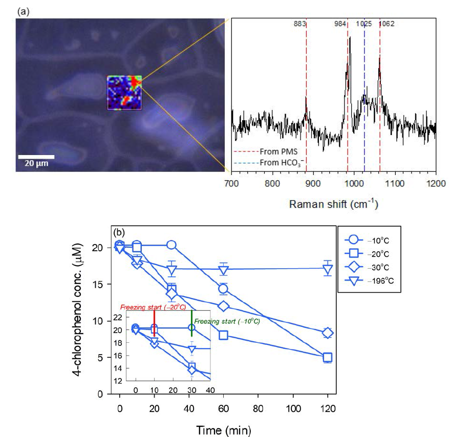 (a) Microscope image of ice grain boundary and representative Raman spectrum of the frozen bicarbonate-PMS solution. The signal at 984 cm-1 was selected to show the map image. Cooling speed = -2℃/min; terminal temperature = -20℃; [PMS]0 = 5 mM; [HCO3 −]0 = 10 mM. (b) 4-CP concentration profile at different freezing temperatures. Temperatures of -10, -20, and -30℃ were obtained via use of an ethanol bath and that of -196℃ was obtained using liquid N2. [4-CP]0 = 0.02 mM; [PMS]0 = 0.5 mM; [HCO3 −]0 = 5 mM; pHi = 9