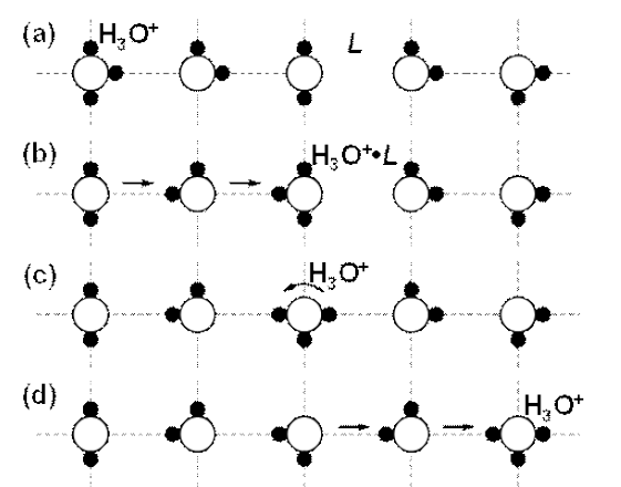 Pictorial illustration of the proton-transport mechanism in ice. The ice lattice is represented by a straightened-out chain of water molecules (“square ice” model) for convenience. The hydrogen bond is indicated by the dotted lines. (a) H3O+ indicates a hydronium structure with extra proton attached to water molecule, and L indicates a Bjerrum orientational defect. (b) Hydronium moves via successive jumps of excess protons (straight arrows) along the water chain until a proton is trapped by forming a stable H3O+ •L defect complex. (c) Reorientation of water in the complex (circle arrow) releases a proton and (d) resumes a proton-hopping relay. The actual mechanism for the trapping and release of a proton at a Bjerrum L defect is more complex than that drawn in this figure. A proton is trapped as a result of electrostatic stabilization of the H3O+•L structure in the ice lattice,5,66 but this process is difficult to illustrate in the one-dimensional chain model. Additionally, a Bjerrum defect is moved by the reorientation of water, but this process is inaccurately represented by hydronium reorientation in the figure