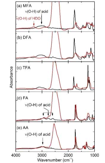 RAIR spectra of pure acid films (black traces) and acid-D2O mixture films (red traces), which are shown overlapped for each acid for better visualization of the dissociation or nondissociation behavior of the acids. In each set of spectra, the spectral intensities are rescaled to equalize the molar amounts of acid in the pure and mixture films. The intense bulk ν(O–D) band (~2540 cm−1) of D2O is truncated. (a) Spectra of a pure MFA and MFA-D2O mixture (4% MFA in molar ratio) at 80 K. (b) Spectra of a pure DFA and DFA-D2O (6% DFA) mixture at 70 K. (c) Spectra of a pure TFA and TFA-D2O (4% TFA) mixture at 70 K. (d) Spectra of a pure FA and FA-D2O (6% FA) mixture at 80 K. (e) Spectra of a pure AA and AA-D2O (4% AA) mixture at 80 K. Differences between the spectra in (a–c) and those in (d, e) are clearly visible. For MFA (a), DFA(b), and TFA(c), the ν(O−H) band of molecular carboxylic acid almost disappears for the mixture film, indicating acid dissociation. This differs from the case of FA (d) and AA (e), where the ν(O−H) band of molecular acid remains after dissolution in D2O at 70 –80 K. Additionally, for MFA, DFA and TFA, the ν(C=O) band of a pure acid film and that of a mixture film differ significantly, in both intensity and shape. The sharp ν(C=O) band shape of the molecular carboxylic group at ~1770 cm−1 changes to the ν(C=O) band shape of the carboxylate anion in the range of 1600–1800 cm−1 for the mixture film. For non-dissociating FA and AA, the shape of the ν(C=O) band does not change significantly. Reproduced with permission from Supporting Information of ref. 112. Copyright 2018 American Chemical Society