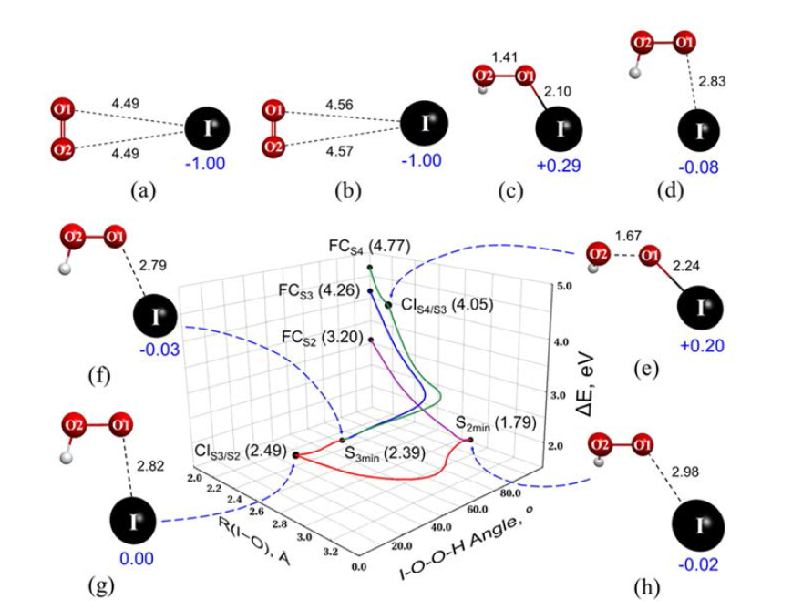 The optimized structures of I−·O2 complexes in the (a) singlet and (b) triplet states calculated using CASSCF(12,7)/MIXED-level theory. The bond lengths (black) are in Å, while the Mulliken atomic charges (blue) are in atomic units. The (a) is +24.1 kcal/mol higher than (b) according to MCQDPT2/MIXED theory. The binding energies between O2 and I− are +0.3 kcal/mol (a) and −0.3 kcal/mol (b). The optimized structures of IO2H in the (c) singlet and (d) triplet states according to B3LYP/MIXED-level theory. According to this theory, (c) is −12.7 kcal/mol lower than (d). The corresponding binding energies between I and O2H radicals are −18.4 kcal/mol (c) and −5.7 kcal/mol (d). The important points in the singlet S4, S3 and S2 states of (e) CIS4/S3, (f) S3min, (g) CIS3/S2 and (h) S2min were located with TDDFT/B3LYP/MIXED. The energies relative to the ground state (S0, eV) are shown in parentheses. The conical intersections are shown in (e) and (g), while (f) and (h) are minima. With respect to the I−O bond length and I−O−O−H torsion, the minimum energy paths (MEPs) from the Franck-Condon points FCS4, FCS3 and FCS2 to other points were obtained by the nudged elastic band (NEB) method