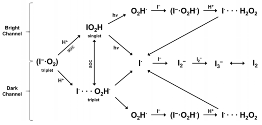 A schematic diagram of the reactions in the overall iodine and H2O2 formation mechanisms. The process assumes sufficient concentrations of I− and O2 in ice. H+ and hn indicate acidic conditions and photo-irradiation, respectively. Intersystem crossing through spin-orbit coupling (SOC) results in the formation of IO2H in the singlet state. IO2H in the triplet state produces an O2H· radical (Fig. 1d), while O2H· radical generation by the more stable singlet IO2H requires photo-excitation. O2H· radical forms the I−·O2H∙ complex with iodide. Protonation in frozen water yields I⋯O2H2, which eventually produces the I· radical and H2O2