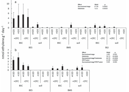 Mean (n=6±SD) diazotrophic activity (the rate of acetylene reduced to ethylene) in field experiments in the three successional stages of the Barton chronosequence in the BSC and soil inside (+OTC) and outside (−OTC) the open-top chambers and with (+H2O) and without (−H2O) water addition, during (a) February 2019 and (b) February 2021. In 2021, only BES and BMS were measured. Only the significant effects of Wald statistics are shown in the box (Tables 4S and 5S)