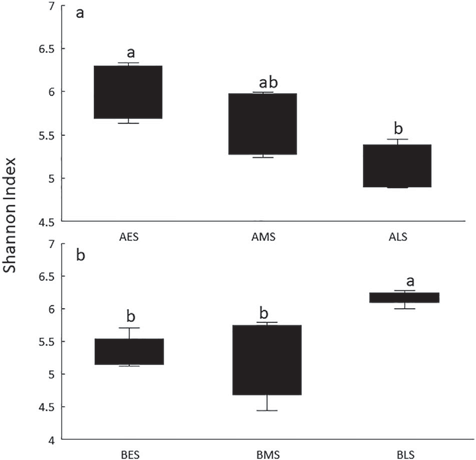 Mean α-diversity (n = 5, Shannon-Index) of soil bacterial communities in the three successional stages of the Ardley (a) and Barton (b) chronosequences