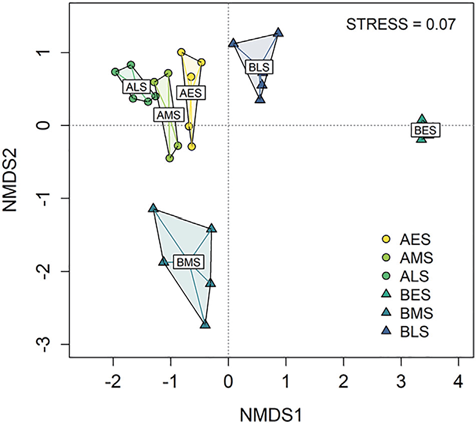 β-Diversity of soil bacterial communities based on Bray−Curtis dissimilarities among all pairs of samples visualized using non-metric multidimensional scaling (NMDS). Convex hulls were added around groups of samples with connecting each sample to a group centroid