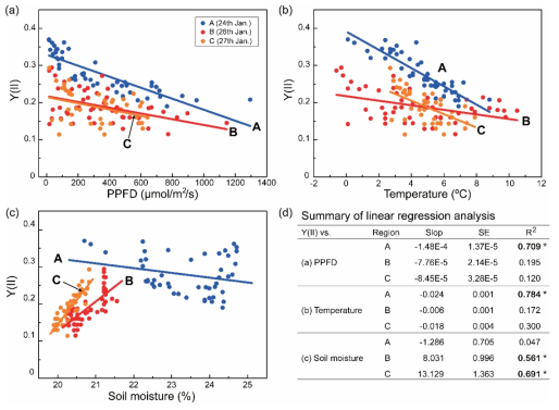 Correlation between Y(II) of C. borealis and PPFD (a), temperature (b), and volumetric soil moisture (c) parameters. Data were extracted from Regions A, B, and C in Figure 2b. A fitting analysis for linear regression was performed for each dataset. (d) The linear regression parameters are presented in a tabular format. Asterisks indicate R2 > 0.5. SE, standard error