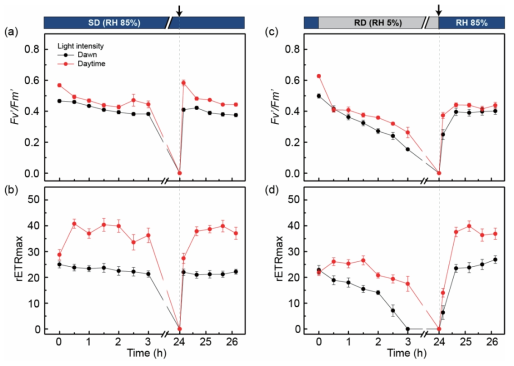 Changes in maximal photosynthetic yield (Fv’/Fm’) (a,c) and rETRmax (b,d) with dawn-light (50 μmol/m2/s) and daytime-light (220 μmol/m2/s) under a desiccation-rehydration cycle in C. borealis. Before desiccation, samples were activated with light (50 μmol/m2/s) for 2 h under fully hydrated conditions with distilled water. The thalli were treated under slow desiccation (SD, 85% RH) (a,b) and rapid desiccation (RD, 5% RH) (c,d) for 24 h (until indicated by the dashed line), and then rehydrated with a water spray of distilled water (black arrow). After the removal of excess water, both samples were kept under SD conditions for an additional 2 h. The ten biological replicates were used for each treatment (n = 10). Experiments were repeated at least two or three times using the same thalli after re-stabilizing at 50 μmol/m2/s light with an 18:6 light:dark cycle at 8 ◦C with hydration for a week. Results are the means with ± standard deviation shown by vertical bars