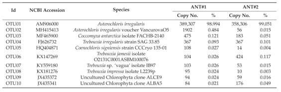 Photobiont species list of two Antarctic Cladonia borealis samples analyzed by amplicon sequencing of the ITS region