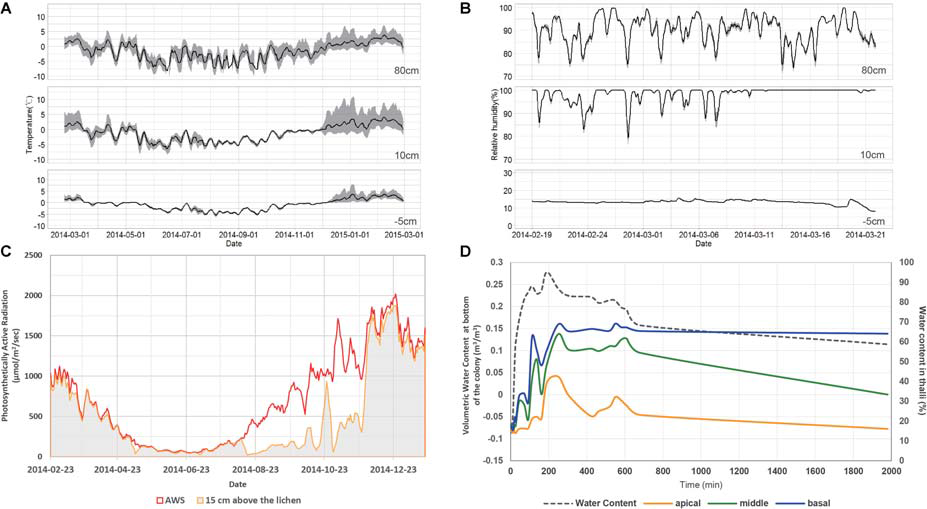 Microenvironments of the habitat of Cladonia squamosa. (A) Air temperature at 80 and 10 cm aboveground and substrate temperature at 5 cm underground from February 19, 2014 to February 28, 2015. Simple moving average and data range over the past 5 days were represented by the solid line and gray shade, respectively. (B) Relative humidity at 80 and 10 cm aboveground and volumetric water content of substrate at 5 cm underground from February 19 to March 21, 2014. Simple moving average and data range over the past 5 days were represented by the solid line and gray shade, respectively. (C) Day average of PAR at 80 and 15 cm aboveground from February 19, 2014 to January 20, 2015. (D) Water contents at apical, middle, and basal parts of the thalli according to continuous water supply to the substrate and air-dry of the colony in the laboratory