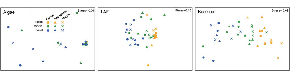 Non-metric multidimensional scaling (NMDS) analysis of microbial community composition based on the OTU composition of algae (A), lichen-associated fungi (LAF) (B), and bacteria (C). Three to five samples with more than thousand sequence reads were included in each group. Standardized OTU abundance matrices were used to calculate Bray–Curtis similarities between samples