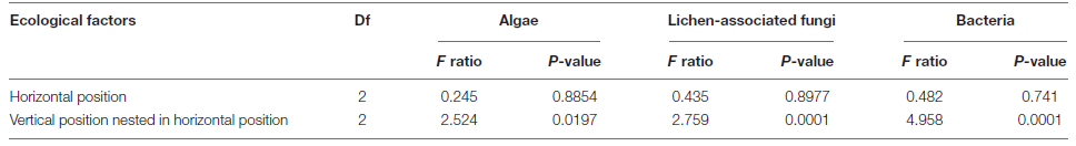 Permutational multivariate analysis of variance (PERMANOVA) with nested design according to the horizontal and vertical positions of Cladonia squamosa