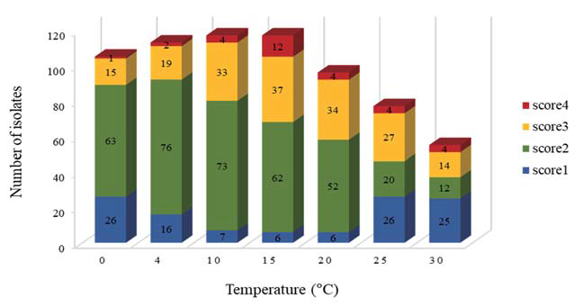 Effect of temperature on bacterial growth. The degree of growth was scored from 1 to 4, with a higher number indicating better growth