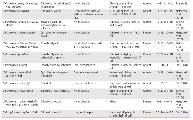 Morphological comparisons between core Chloromonas clade species