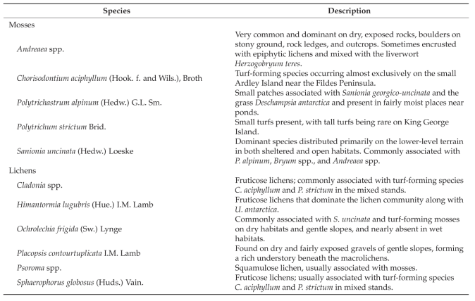 Scientific names and descriptions of the 16 representative vegetation species in Barton Peninsula [9]